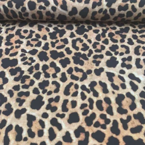 Leopardo
